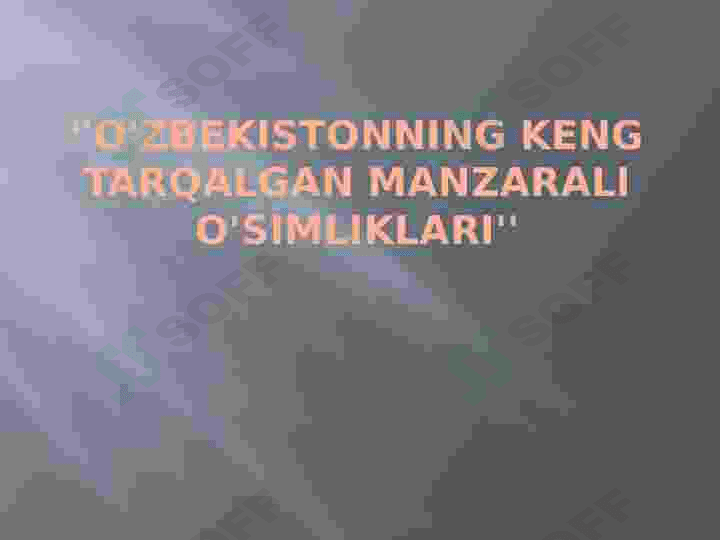 Preview 2