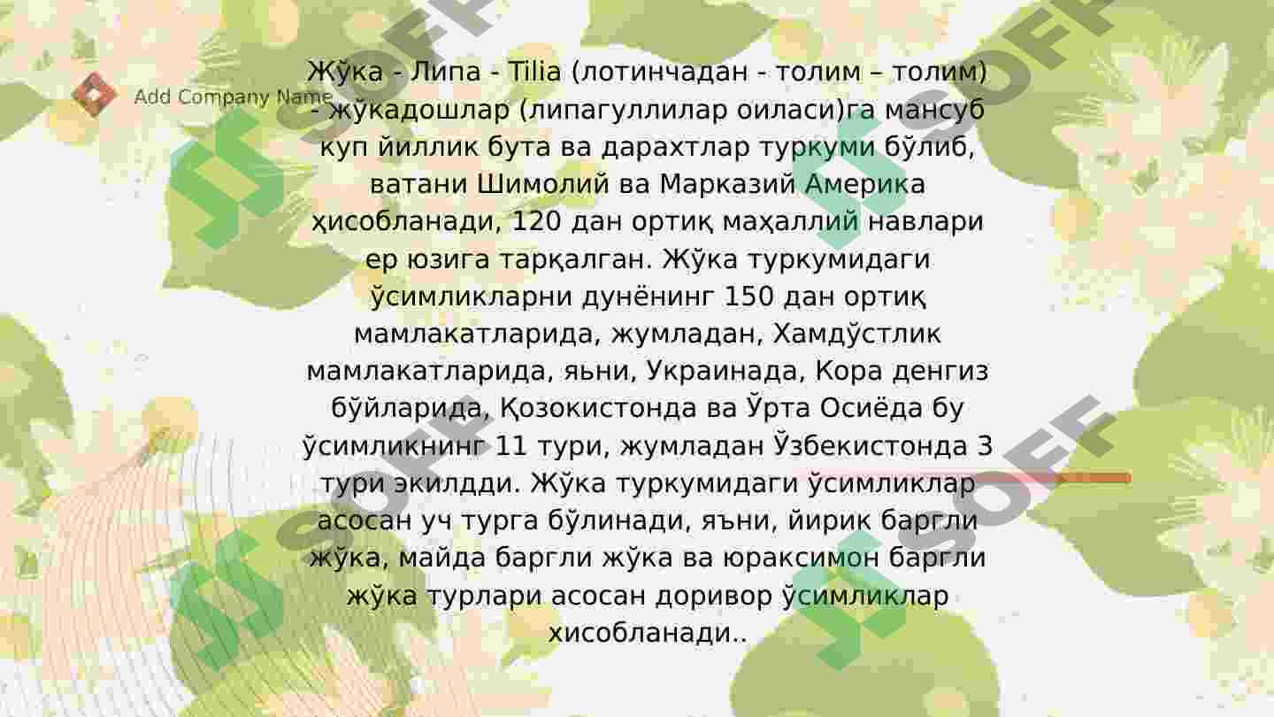Preview 4