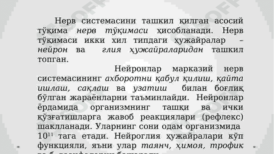 Preview 4