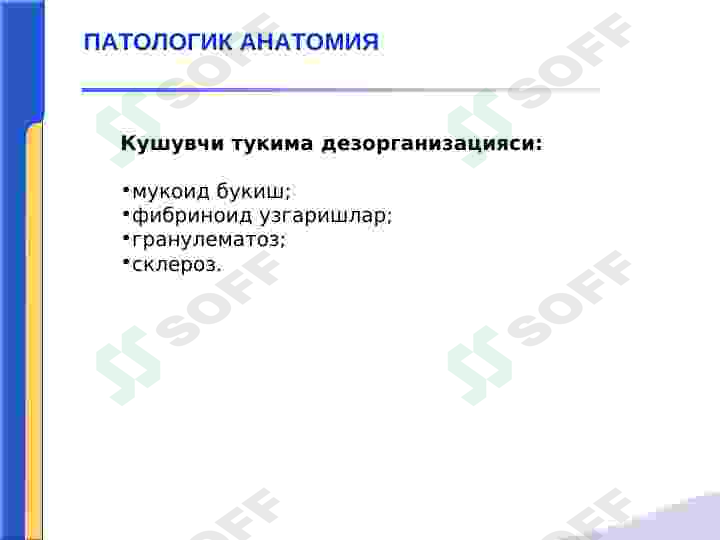 Preview 5
