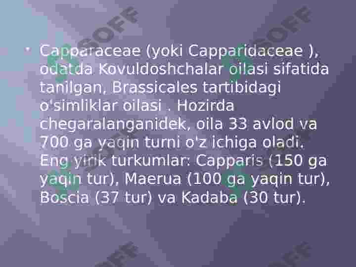 Preview 5