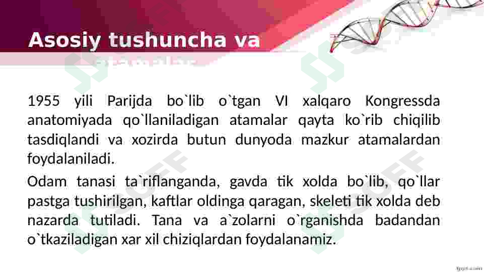 Preview 5