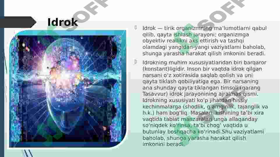 Preview 5