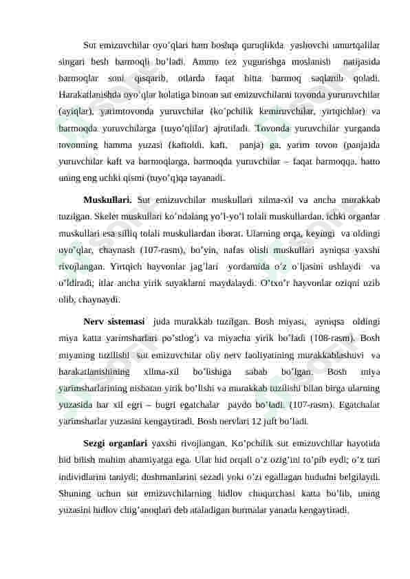 Preview 5