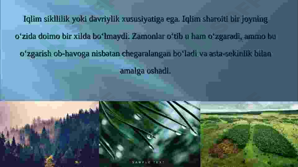 Preview 5