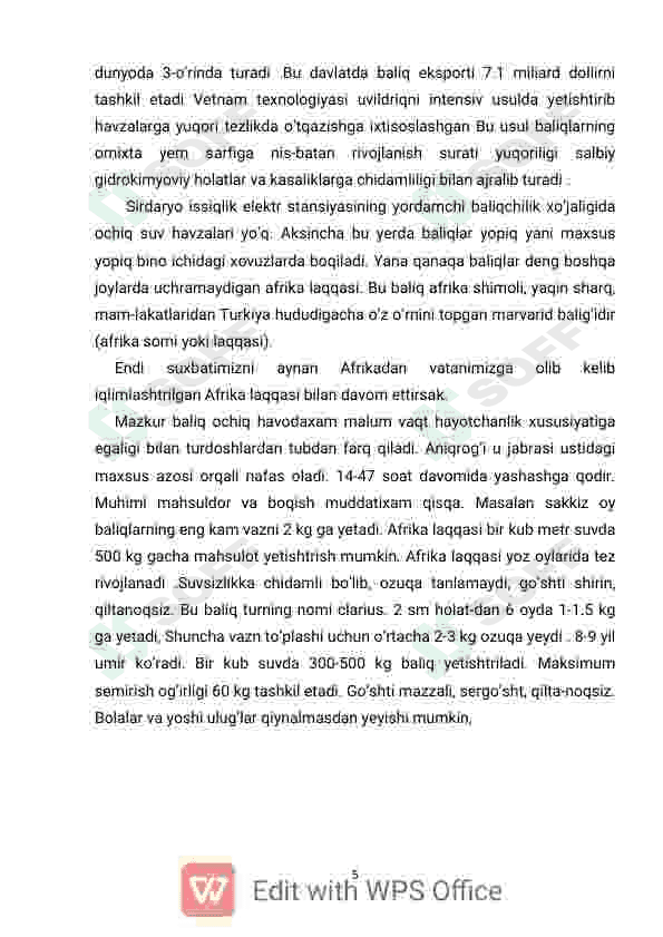 Preview 5