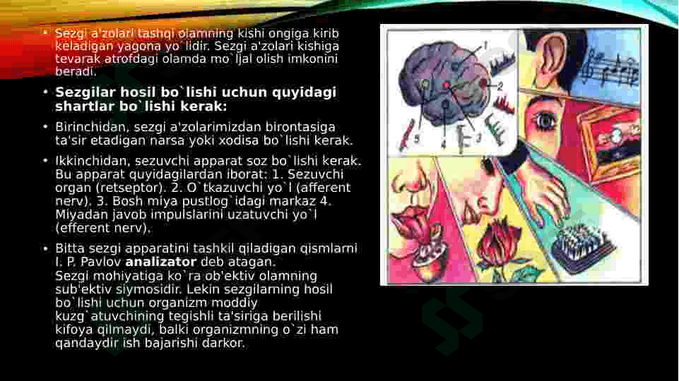 Preview 5