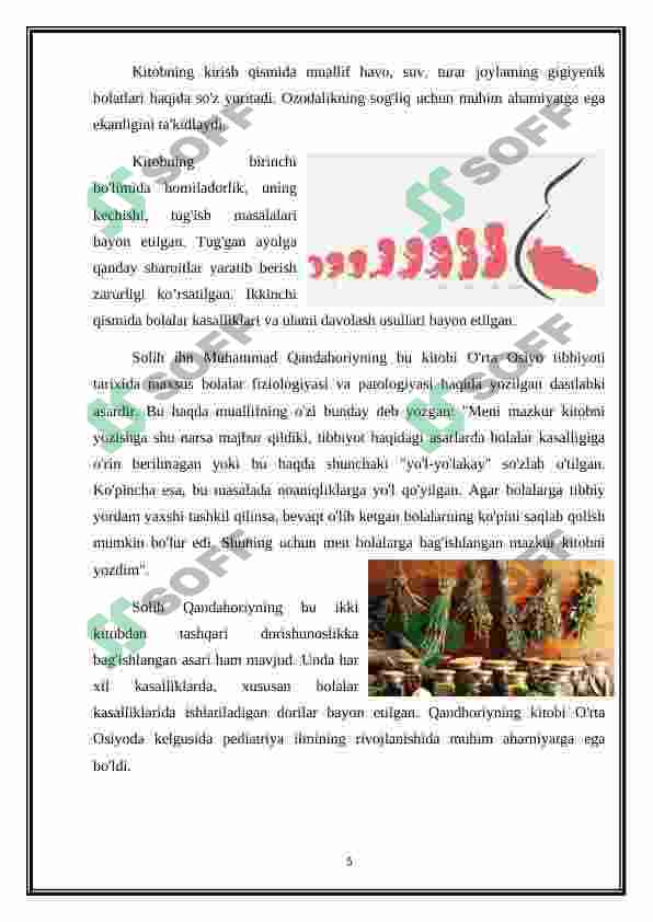 Preview 5