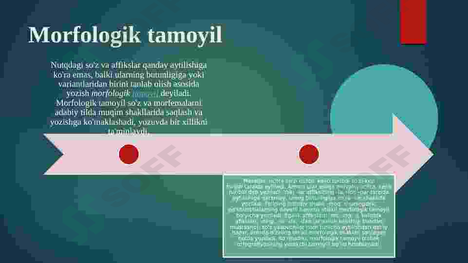 Preview 5