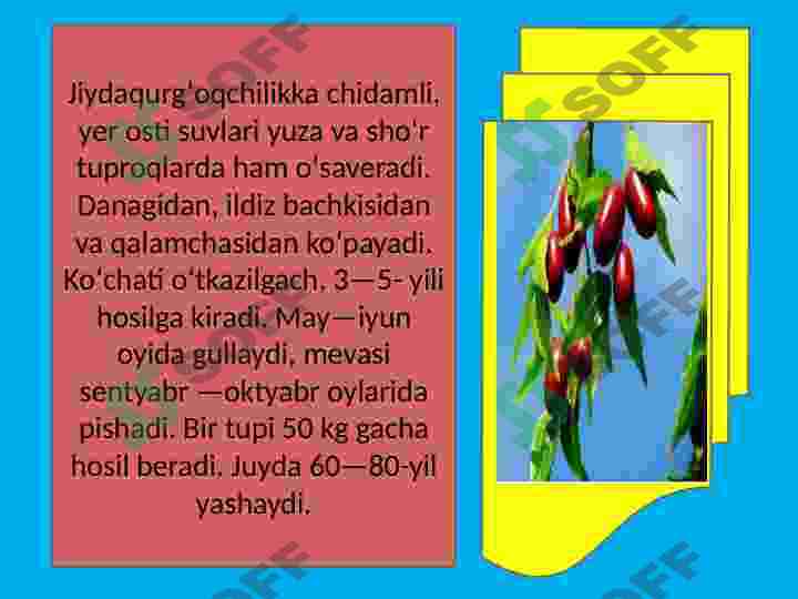 Preview 6