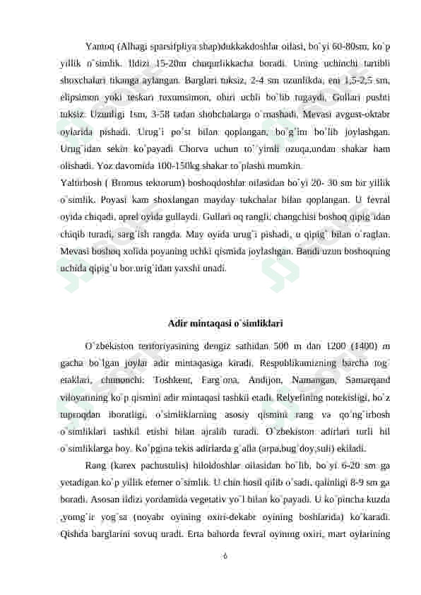 Preview 6
