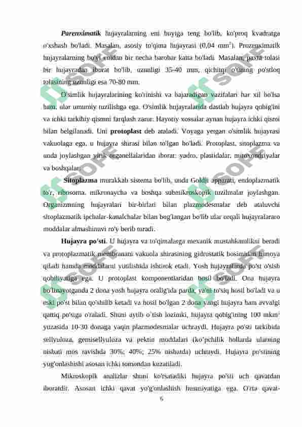 Preview 6