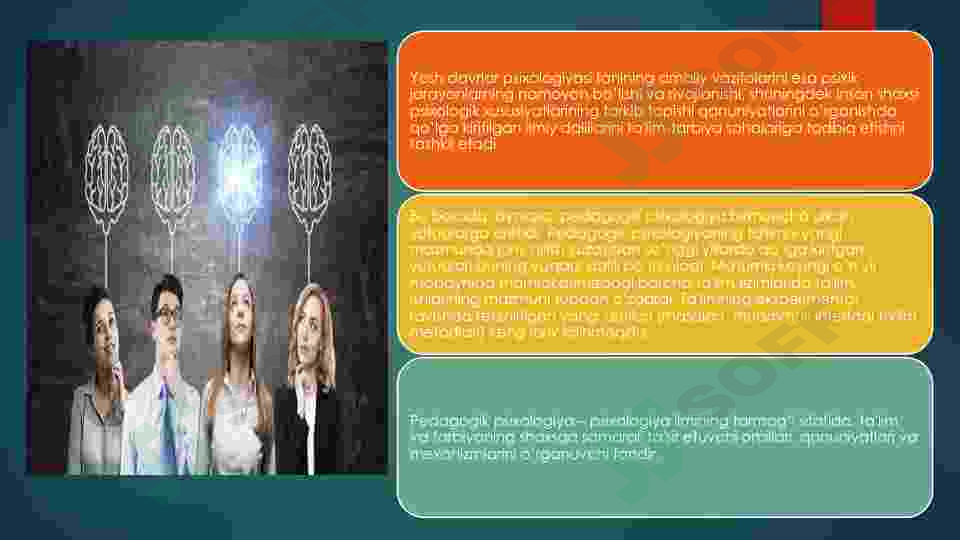 Preview 6