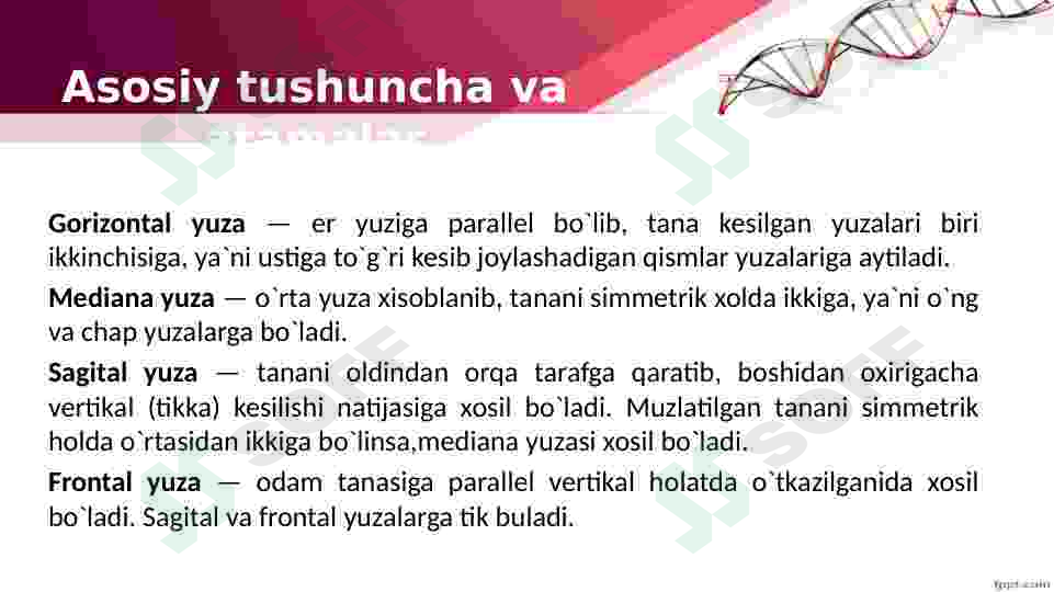 Preview 6