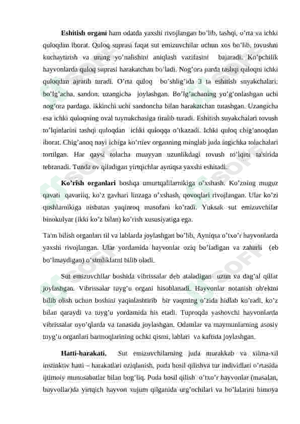 Preview 6