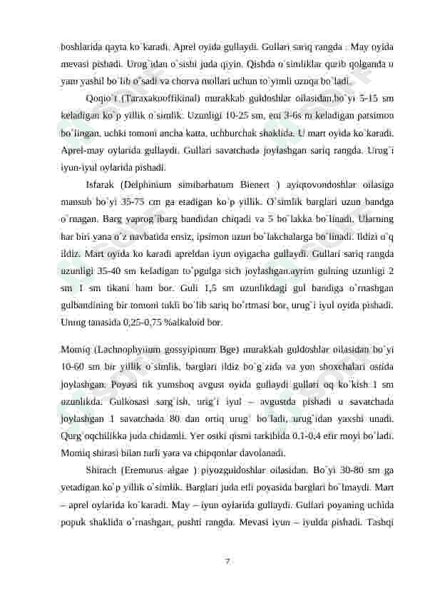 Preview 7