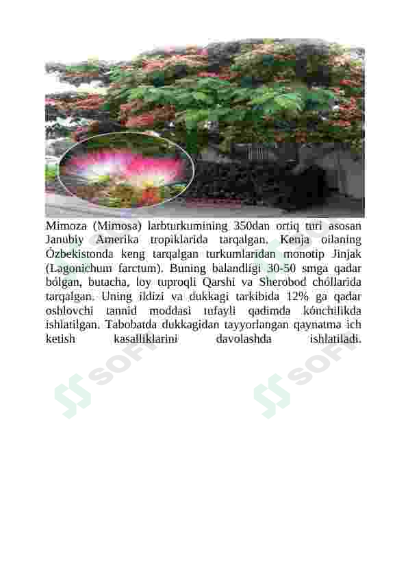 Preview 7