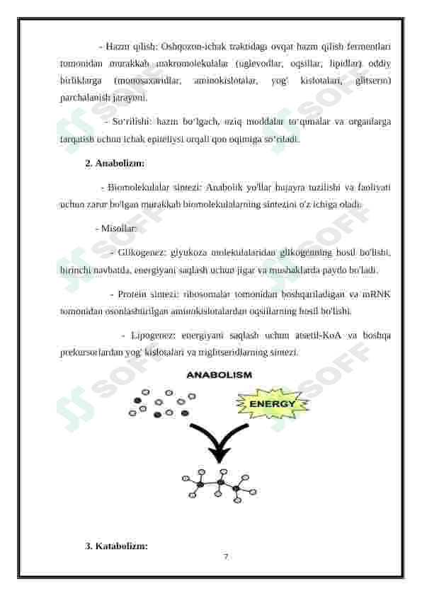 Preview 7