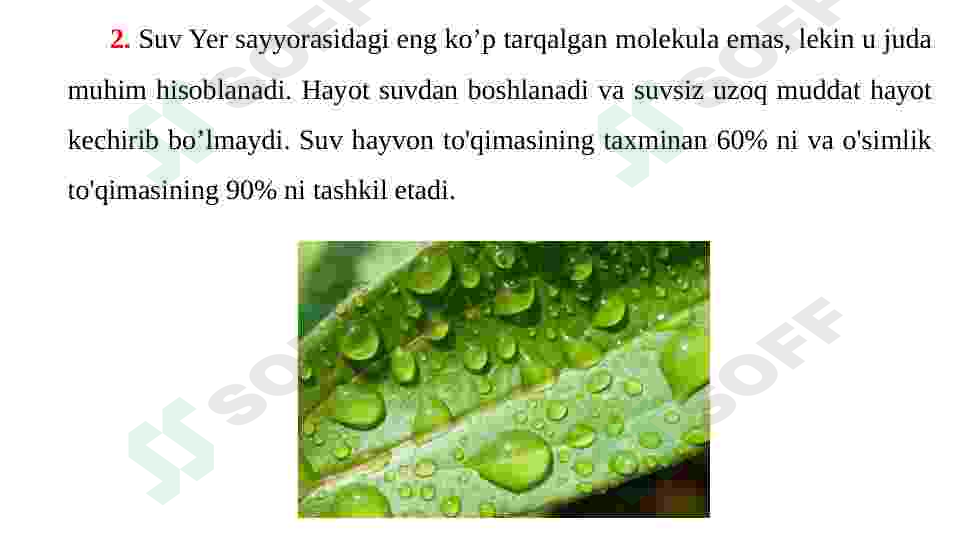 Preview 7
