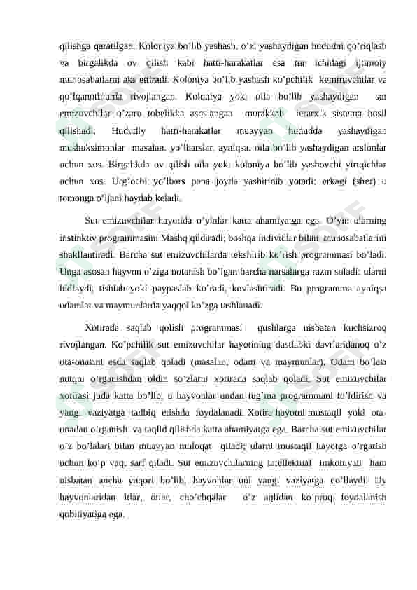 Preview 7