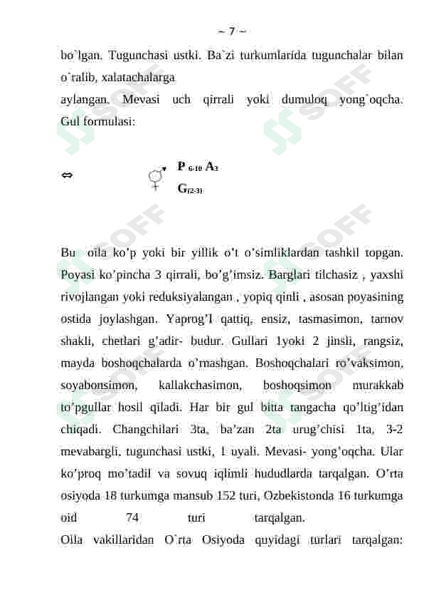Preview 7
