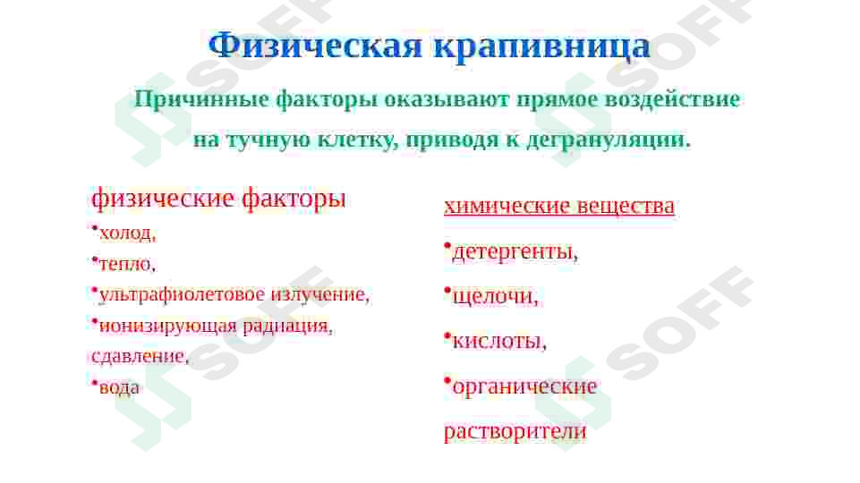Preview 7