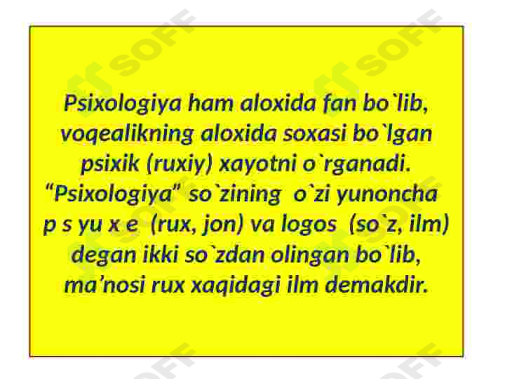 Preview 7