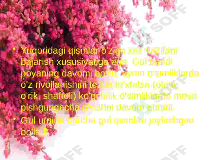 Preview 7