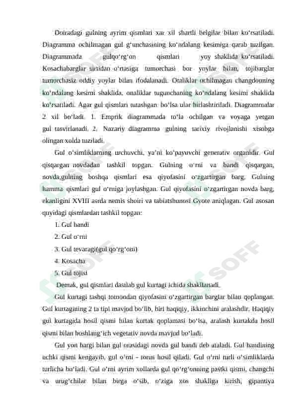 Preview 7