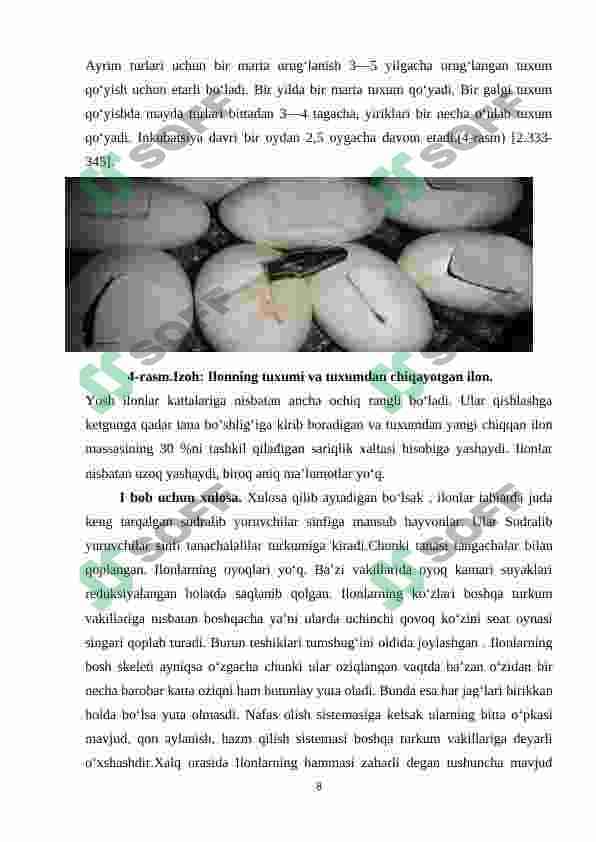 Preview 7