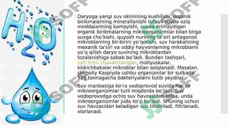 Preview 7