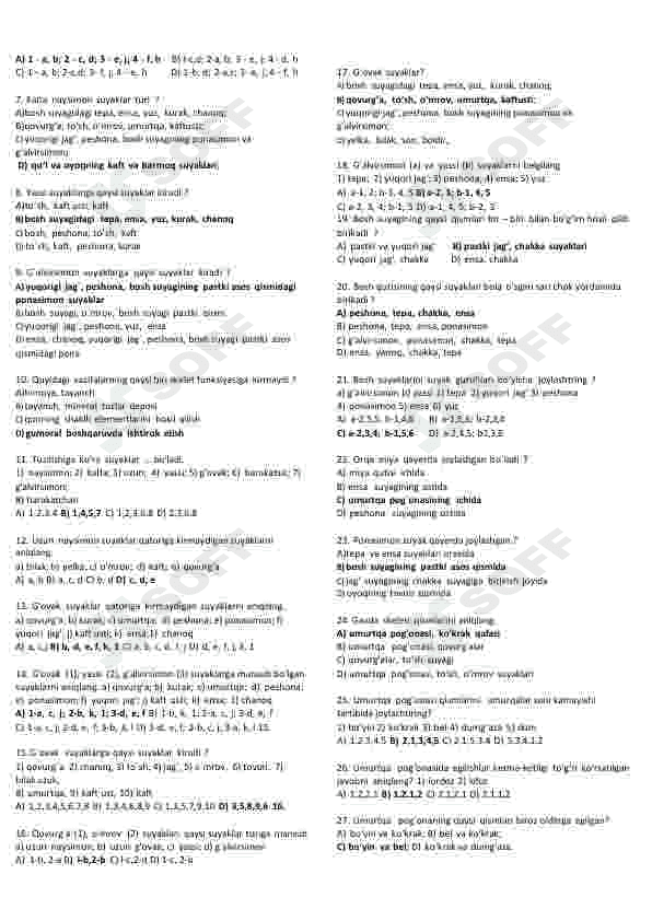 Preview 7