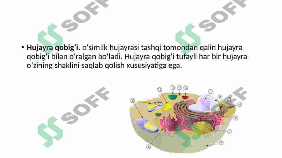 Preview 7