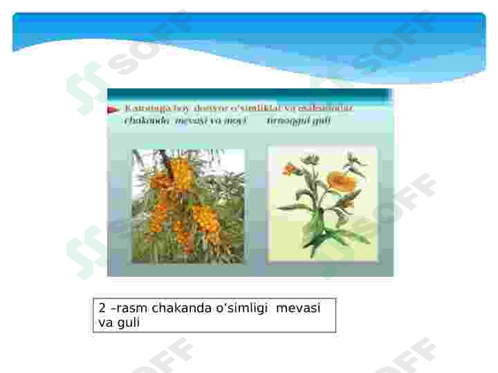 Preview 7