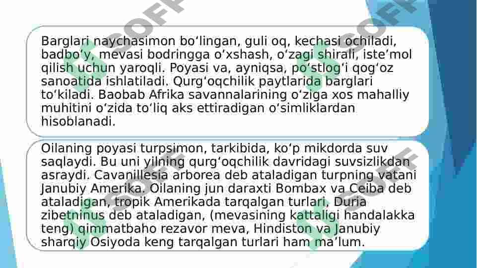 Preview 7
