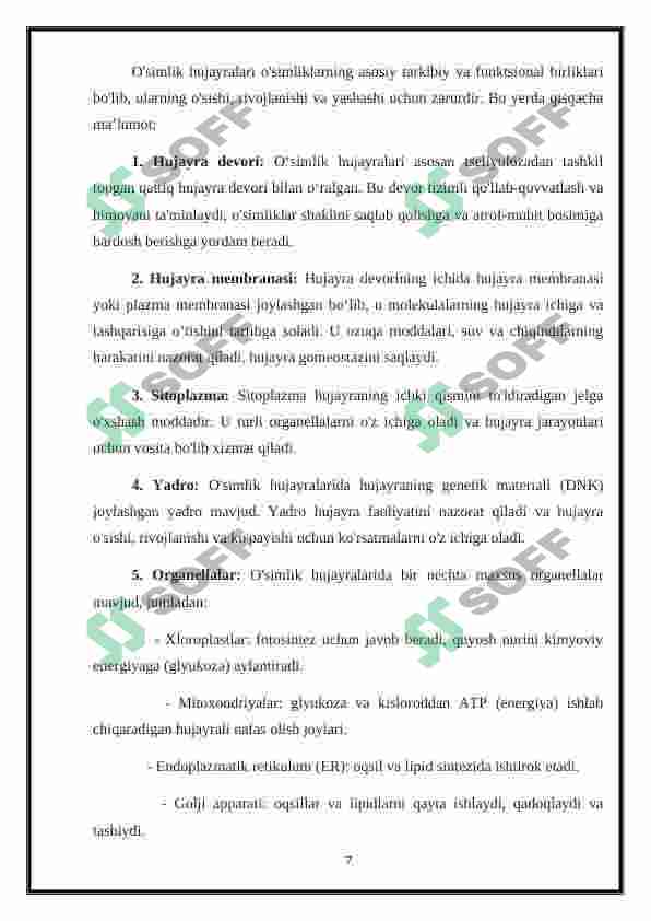 Preview 7
