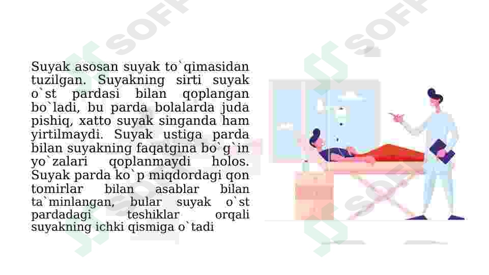 Preview 7
