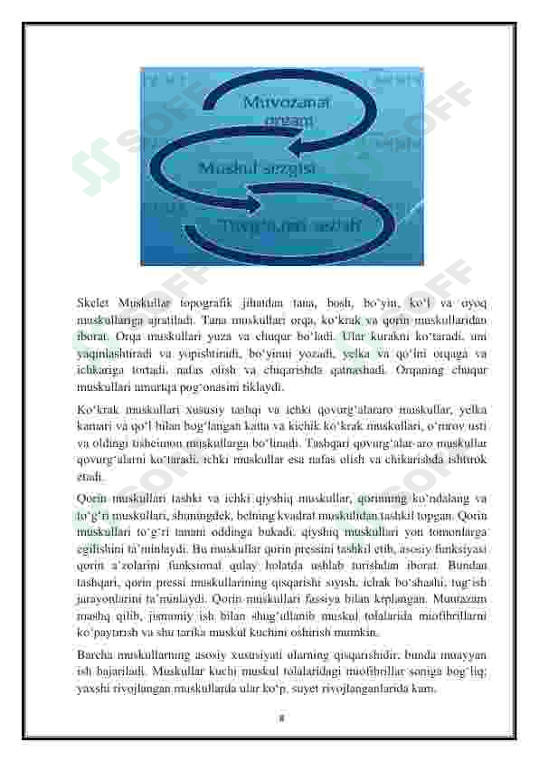 Preview 8