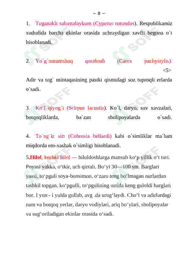 Preview 8
