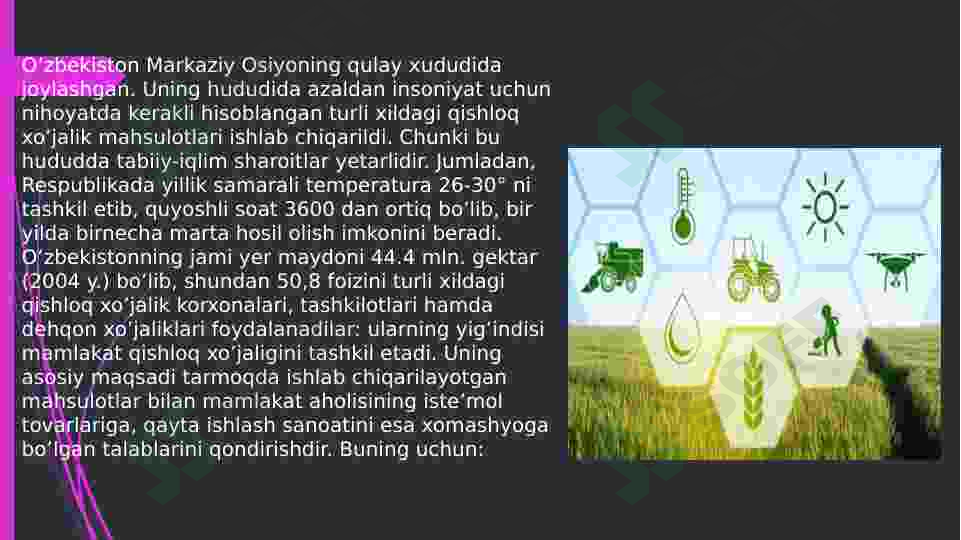 Preview 8