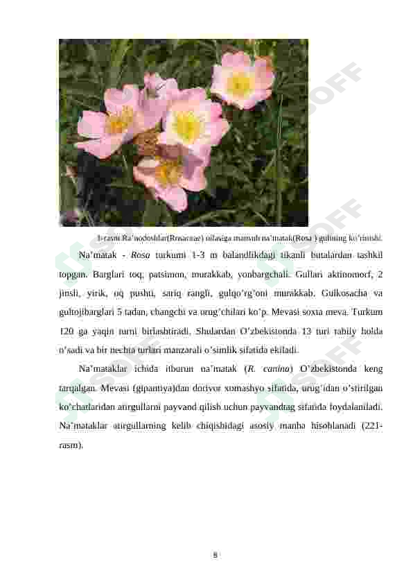 Preview 8