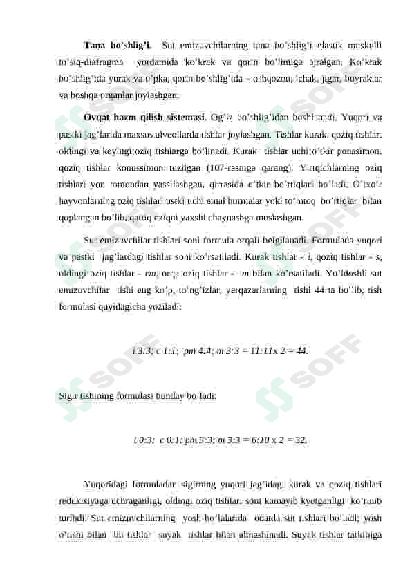 Preview 8