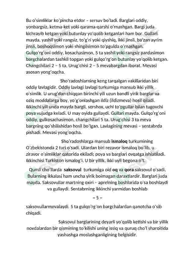 Preview 8