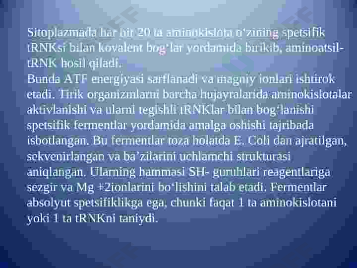 Preview 8