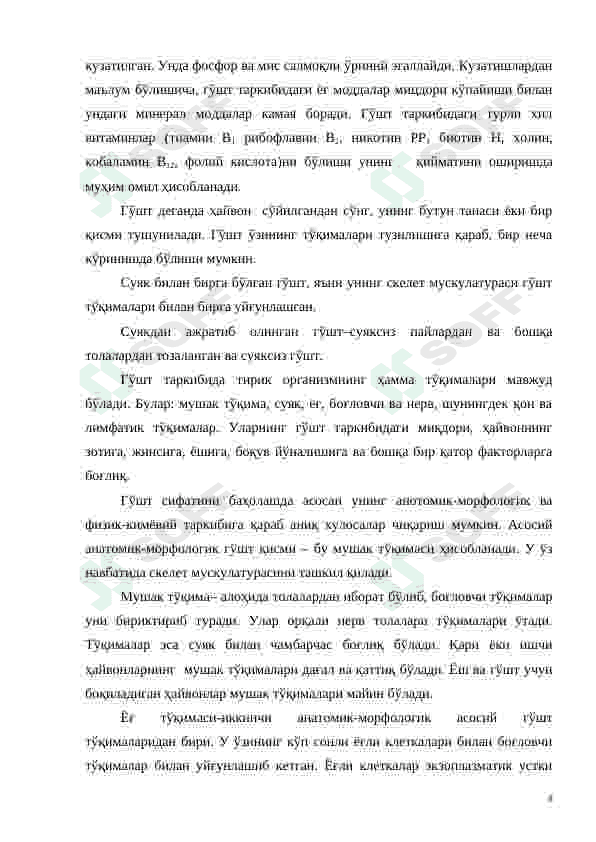 Preview 8