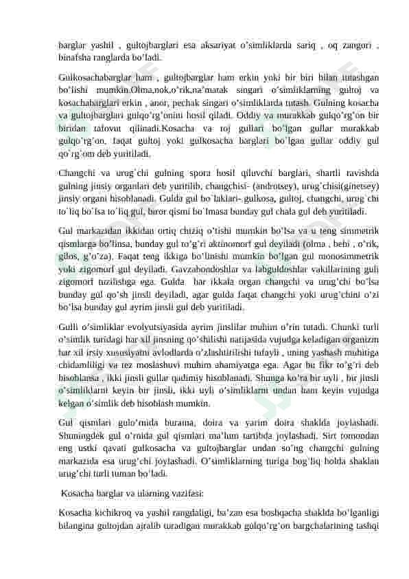 Preview 8