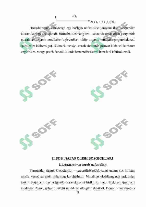 Preview 8