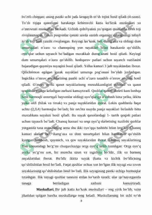 Preview 8