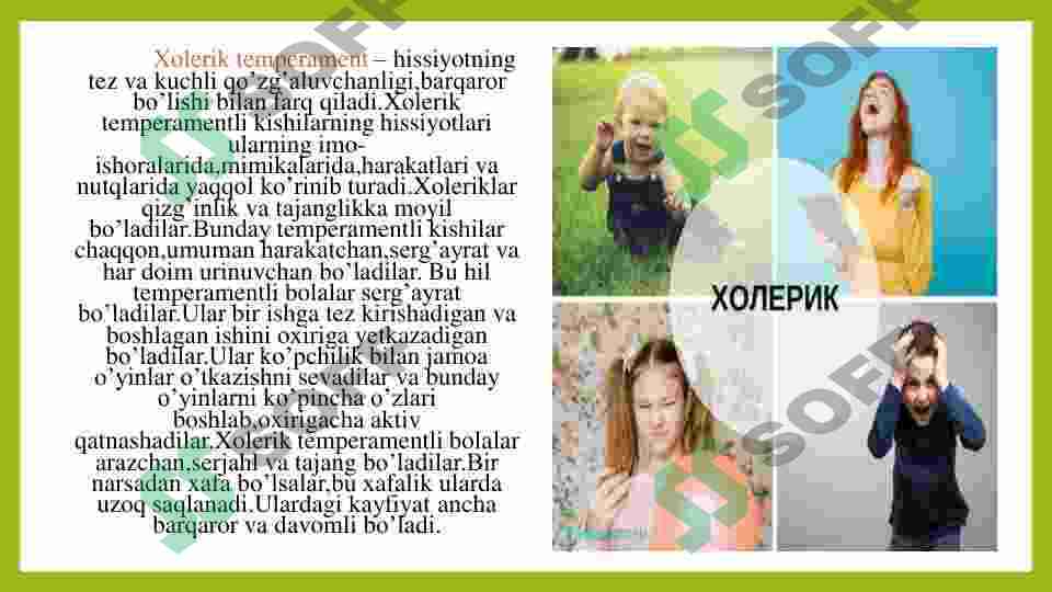 Preview 8