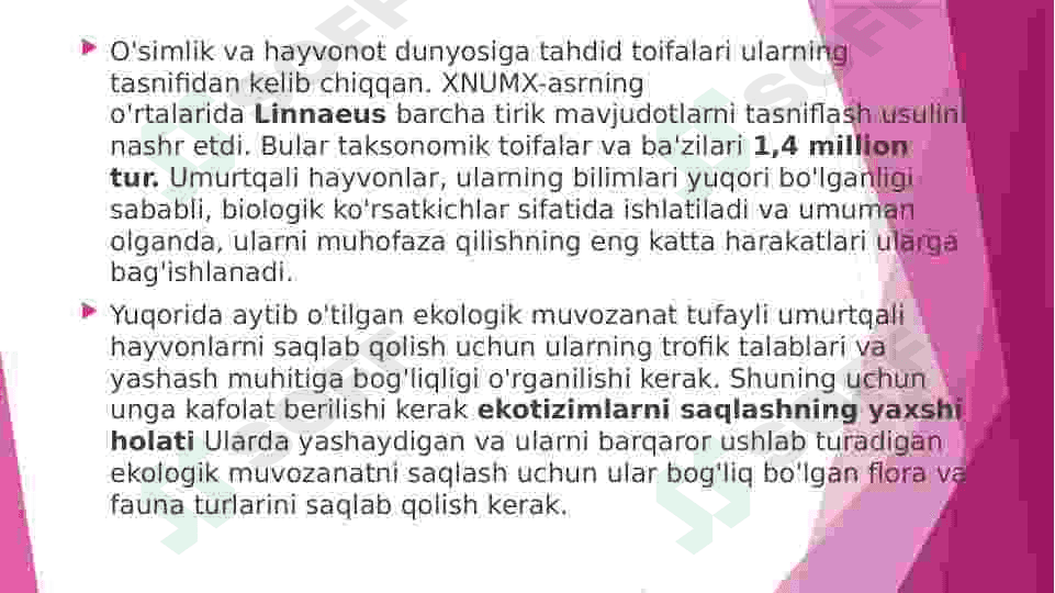 Preview 8